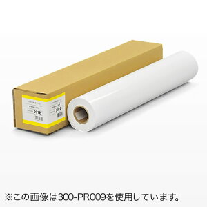 �v���b�^�[�p���E���[�����i�t�H�g���򎆁E1067mm×30m�E42�C���`���[���j