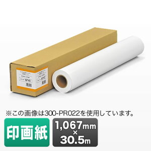 �v���b�^�[�p���E���[�����i��掆�E������E1067mm×30.5m�E42�C���`���[���j