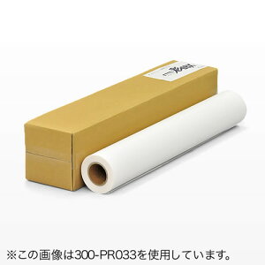 �唻�C���N�W�F�b�g�v�����^�p�t���b�O�쐬/�^�y�X�g���[�쐬�N���X�iW1067mm×20m�E42�C���`���[���E���[�����^�C�v�E�v���b�^�[�Ή��E�h���\�t�g�N���X�j