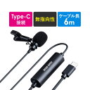 【在庫限り！処分売価】ピンマイク クリップ式 USB Type-C接続 高音質 無指向性 ケーブル長6m 収納ポーチ付き PC用 Zoom Skype YouTube