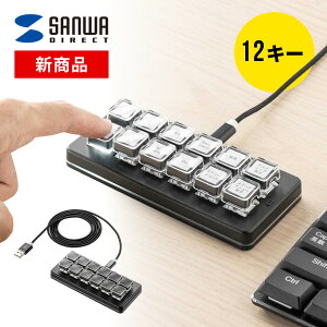 �v���O���}�u���L�[�{�[�h 12�L�[ ����f�o�C�X ���J�j�J�� �� ���蓖�� ���t �o�b�N���C�g�t�� �L���ڑ� �Ў�L�[�{�[�h �Q�[�~���O �J�X�^�}�C�Y �u���b�N