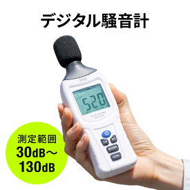 デジタル騒音計 サウンドレベルメーター ノイズ測定 小型 A特性/C特性対応 ケース付 測器 騒音対策 グッズ 騒音測定器 日本語取扱説明書付き