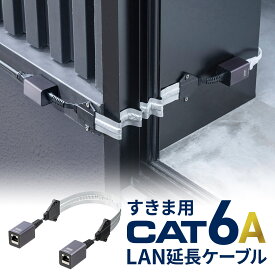 LANケーブル すきま用 延長 カテゴリ6A 44cm 両面テープ 木ネジ 取付 窓 扉 ドア フラットケーブル 有線 隙間 薄型 延長コネクタ Cat6A