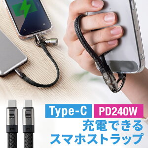 USBP[u USB Type-C P[u Xgbv }[d PD240WΉ nhXgbv iPhone16 22cm ^CvC [dP[u USB-CP[u  L[z_[