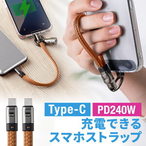 USBP[u USB Type-C P[u Xgbv }[d PD240WΉ nhXgbv iPhone16 22cm ^CvC [dP[u USB-CP[u  L[z_[