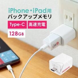 iPhone iPad Lightning Type-C USBメモリ 128GB バックアップ データ転送 画像 動画 MFi認証 word excel