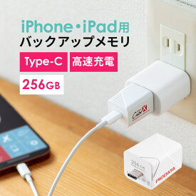 【6/4(火)20時開始！10%OFFクーポン配布中】 iPhone iPad Lightning Type-C USBメモリ 256GB バックアップ データ転送 画像 動画 MFi認証 word excel