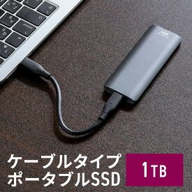 ポータブルSSD 外付け USB3.2 Gen2 1TB 最大書込速度約1000MB/s 小型 テレビ録画 PS5/PS4/Xbox Series X Type-A/Type-C 最大読込速度約1000MB/s