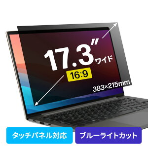 �v���C�o�V�[�t�B���^�[ �`�����h�~ 17.3�^���C�h �m�[�g�p�\�R�� �u���[���C�g�J�b�g (16:9)