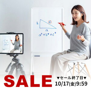 zCg{[h ȈՃp[eBV Ж c^ LX^[t rt {[h59cm RpNg }OlbgΉ yut p[e[V px  ItBX c ~[eBO m 