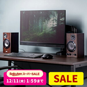 PCXs[J[ ؐ2chXs[J[ 60W  3DTEh ACd ȃXy[X cB[^[ AUX 3.5mm Oʃwbhz[q _[NuE