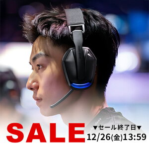 ���C�����X�w�b�h�Z�b�g USB �}�C�N�t�� �Q�[�~���O �y�� �~���[�g ���� 2.4GHz USB A��Type-C���V�[�o�[ RGB LED�t��PS4 PS5 WEB��c�p zoom�C���z�� ���C�����X�}�C�N ���� �L�� PC�p �I�����C����c �e