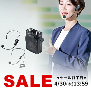 �y�y�V1�ʎ�܁z�g���� ���^ �|�[�^�u�� 30w �X�s�[�J�[ �}�C�N �n���Y�t���[�g���� ���C�����X �剹�� �[�d�� �g����X�s�[�J�[ ���O ���C�����X�}�C�N �X�s�[�J�[�Z�b�g �|�[�^�u�� USB����