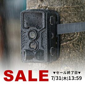 トレイルカメラ 4K 防犯カメラ 屋外 ワイヤレス 940nm不可視赤外線LED 暗視 広角 電池式 タイムラプス ループ録画 乾電池式 防水防塵IP66 ハンティングカメラ 写真 動画 自動撮影 赤外線 防水 防塵 夜間 暗闇 人体感知