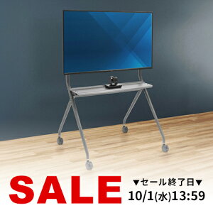 erX^h LX^[t er 86C` nC^Cv ^ j^[X^h dq X^h ω׏d120kg TV j^[