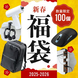 【おひとり様1個限り】新春2026福袋【返品不可】