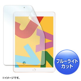 Apple iPad10.2用フィルム(第7世代・液晶保護・ブルーライトカット・指紋防止・光沢) LCD-IPAD12BC サンワサプライ