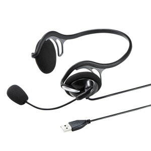 USBwbhZbg lbNoh^Cv PS5Ή Sw Skype webc Q[ L e[N