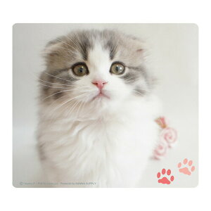 }EXpbhiXReBbVtH[hj MPD-215E TTvC