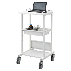 �d�q�J���e�J�[�g�i�z�X�s�^���z���C�g�EW530×D470mm�j RAC-HP14HSCW �T�����T�v���C