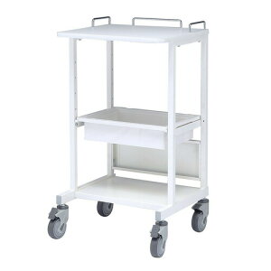 �d�q�J���e�J�[�g�i�z�X�s�^���z���C�g�EW530×D470mm�j RAC-HP14SCW �T�����T�v���C