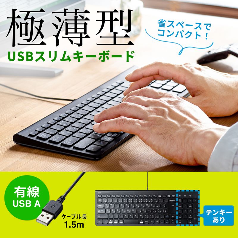 USBキーボード(コンパクト・スリム・パンタグラフ・テンキー付き・ブラック) SKB-SL31BK サンワサプライ | サンワダイレクト楽天市場店