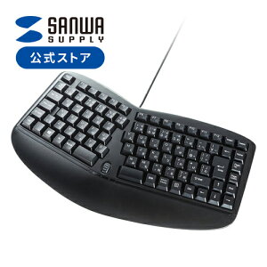 L[{[h L USB A {z(JIS) GSm~NXL[{[h USBL[{[h eL[Ȃ u Windows ubN SKB-ERG3BK TTvC