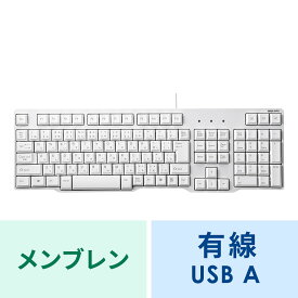 【6/1限定！抽選で100％ポイント還元 】USBキーボード ホワイト SKB-L1UN サンワサプライ