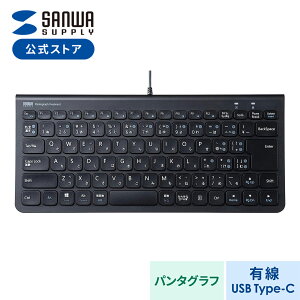 L[{[h L iPad USB C USBL[{[h eL[Ȃ p^Ot ^ X iPadL[{[h ^ubg iPad air {z(JIS) RpNg ^L[{[h iPad mini ubN SKB-SL32CBK T