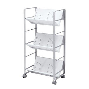 t@CS(3i) WG-100N2 TTvC