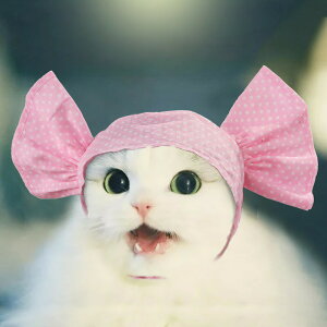 yN[|ő1000~OFFzybgXq 3_Zbg ʕ nEB Halloween hbg   Lnbg ybgpRXv EȒP ^ L   ւ L[g hbO