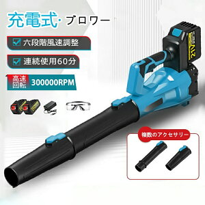 y11477~9481~ 17%OFF 9/11܂Łzu[  [du[  R[hX uA[ ^ y dCGA_X^[ {^[{WFbgt@ 750m/s 300000rpm ] 21V}L^