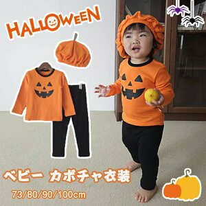 nEB xr[ J{`ߑ q |` J{` ̎q ߑ nEBߑ RXv RX`[ LbY  qp Ԃ 킢  RX`[ ߑ ϐg p[