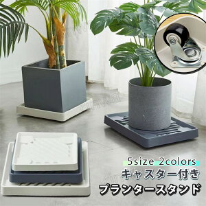 yVLOiIzv^[X^h p^ lp Aؔg[ v^[ BLX^[t x[W O[ ω׏d50kg Aؔ g[  ړ֗ A x_ t[X^
