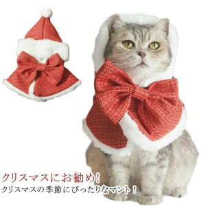 �y�Ζ��Z�[���I15%OFF�N�[�|���z�}���g �� ���N�� ���b�h ���� �� �h�� �`���� �P�[�v �N���X�}�X�p�[�e�B�[ �y�b�g�}���g �a���� ���� �e�[�}�p�[�e�B�[ �L ���� �J���C�C �B�e ���^�� ����