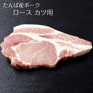 とんかつ 100g 豚肉の人気商品 通販 価格比較 価格 Com