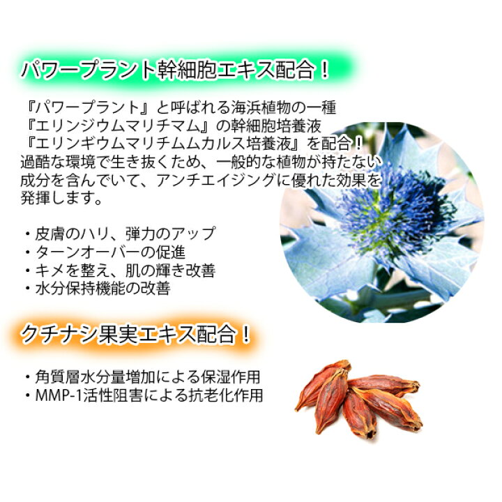 楽天市場】【メール便送料無料】CICA RICH シカリッチ フェイスクリーム 50g シカペア シカ 韓国コスメ ツボクサエキス 肌のキメを整える、乾燥を防ぐ 肌荒れを防ぐ 第2世代 シカクリーム 基礎化粧品 ベースメイク : げんちゃんショップ