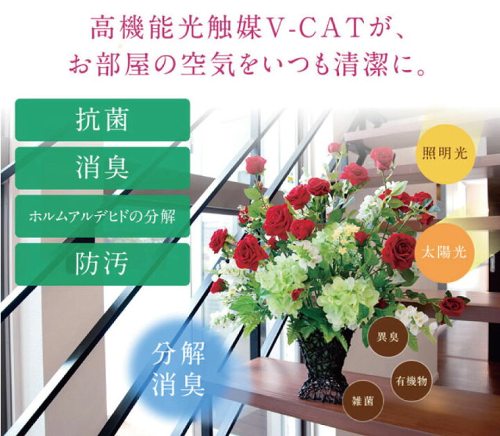 楽天市場】光触媒 光の楽園 フレッシュ胡蝶蘭5本立W2044A200-69人工 