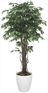 G} ̊y xW~Ai1.8 152H620 90×s90×180cmlHA  tFCNO[  CeA ^