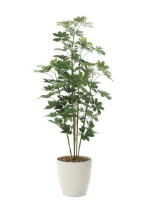 G} ̊y J|bN1.8158K365lHA  tFCNO[  CeA tA^Cv Ή^ 70×s70×180cm