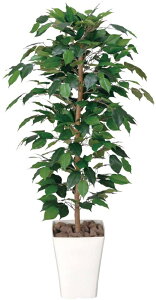 yubNtCf[ԒP5{zG} ̊y tBJXxW~1.2 189K180 55×s50×120cmlHA  tFCNO[  CeA ^