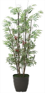 yubNtCf[2020P3{zG} ̊y |V1.62010K300lHA  tFCNO[  CeA a^Cv Ή^ 75×s60×160cm