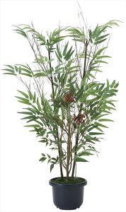 yubNtCf[2020P3{zG} ̊y |V1.02011A150lHA  tFCNO[  CeA a^Cv Ή^ 55×s45×100cm