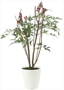 yubNtCf[2020P3{zG} ̊y V702012K80lHA  tFCNO[  CeA a^Cv Ή^ 45×s35×70cm