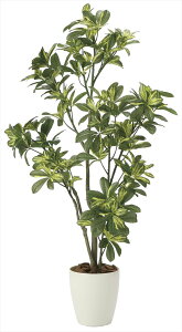 X[p[Z[P5{IG} ̊y VFt1.152027A180lHA  tFCNO[  CeA tA^Cv Ή^ 50×s45×115cm