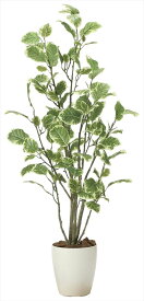 光触媒 光の楽園 ポリシャス1.152028A180人工植物 造花 フェイクグリーン おしゃれ インテリア フロアタイプ 屋内対応型約 幅50×奥行45×高さ115cm