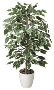 yubNtCf[ԒP5{zG} ̊y S[ftBJX1.0 202A150 55×s55×100cmlHA  tFCNO[  CeA ^