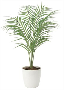 yubNtCf[2020P3{zG} ̊y p[V | 2035A85lHA  tFCNO[  CeA tA^Cv Ή^ 60×s55×70cm