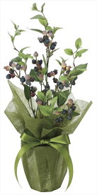 光触媒 光の楽園 ブルーベリー2099K55人工植物 造花 フェイクグリーン おしゃれ インテリア テーブルタイプ 屋内対応型約 幅25×奥行25×高さ50cm