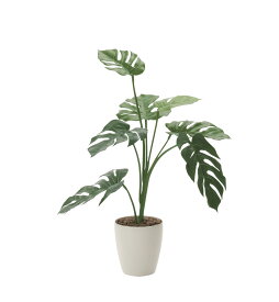 【マラソン中P3倍！4日20時から】光触媒 光の楽園 モンステラ75225K120人工植物 造花 フェイクグリーン おしゃれ インテリア フロアタイプ 屋内対応型約 幅60×奥行60×高さ75cm